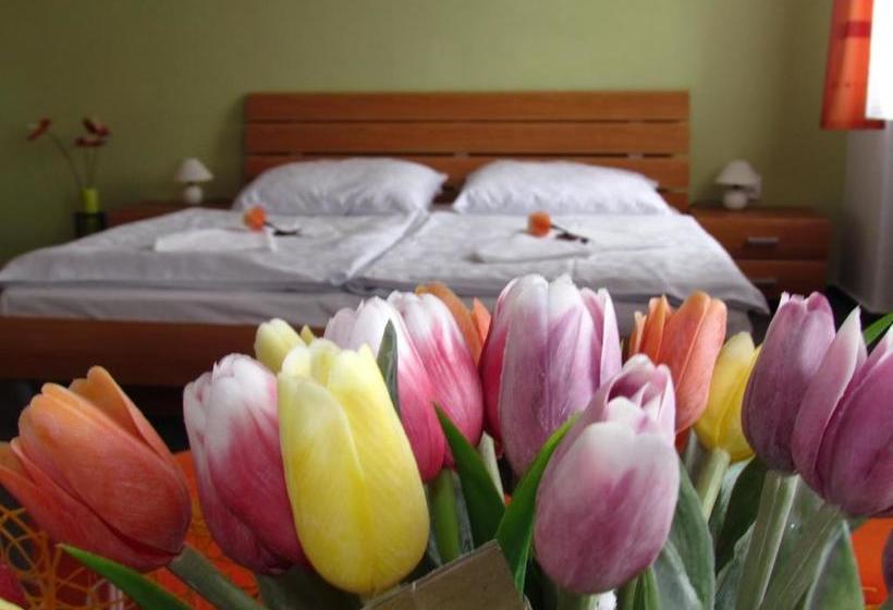 پانسیون Penzion Oregano Třeboň