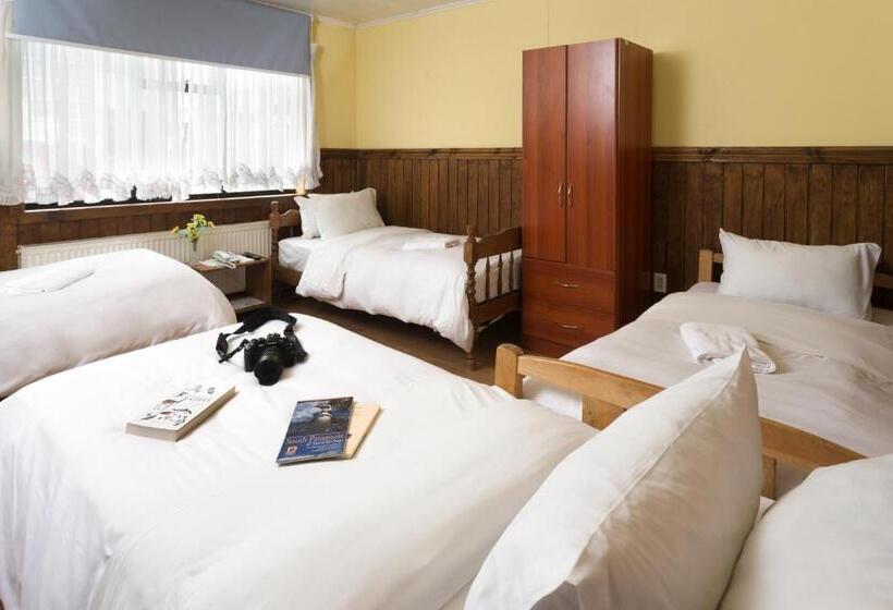 فندق صغير Hostal Hielo Sur