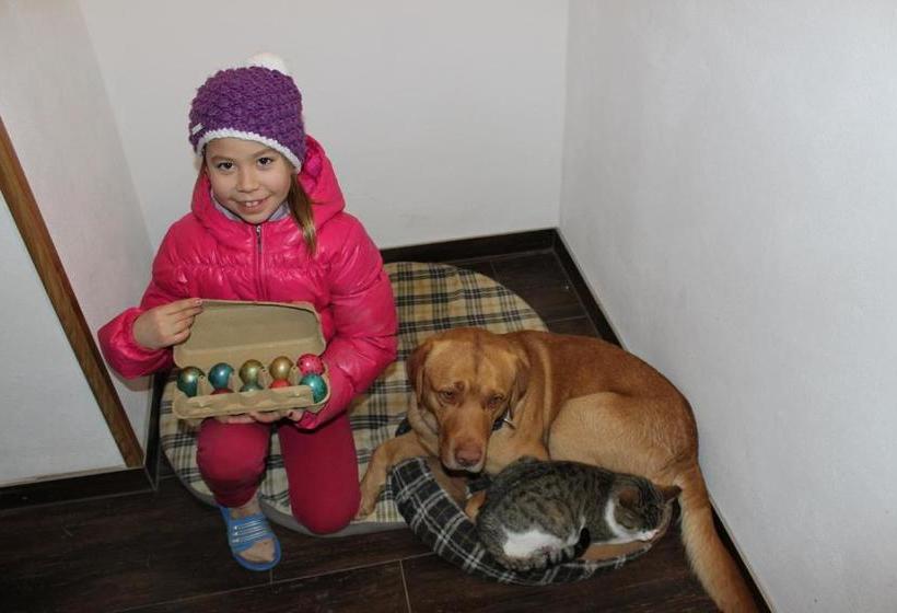 ホテル Bauernhof Schink