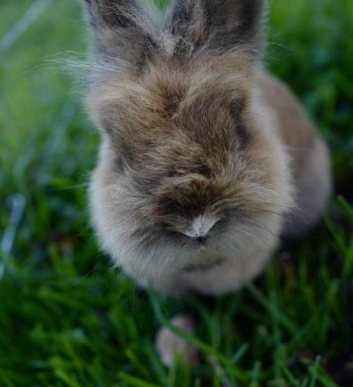 ホテル Bauernhof Schink