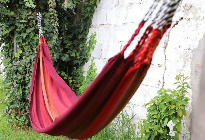 هاستل El Geranio