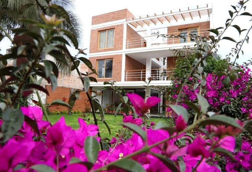 هاستل El Geranio