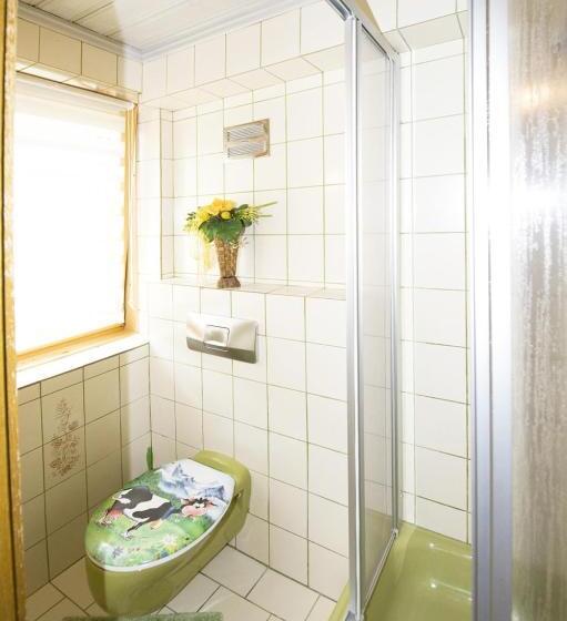 פנסיון Alpenhof Grafleiten