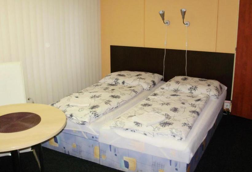 پانسیون Penzion U Remízky