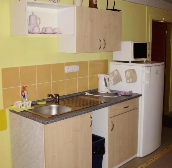 پانسیون Penzion U Remízky