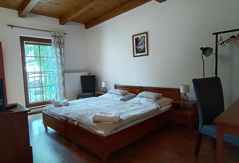 پانسیون Penzion V Podzámčí Litomyšl