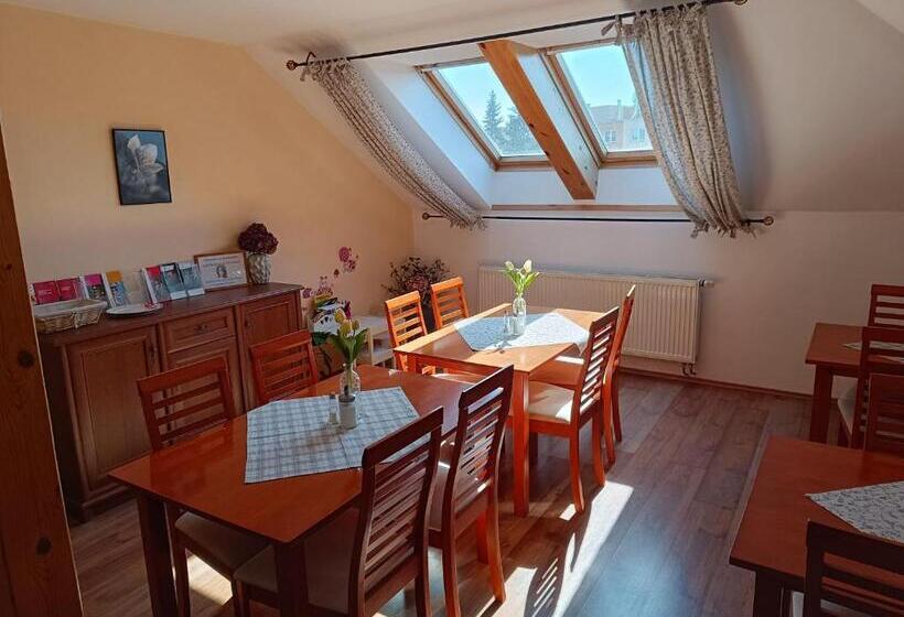 پانسیون Penzion V Podzámčí Litomyšl