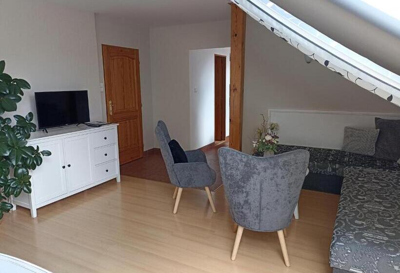 پانسیون Penzion V Podzámčí Litomyšl