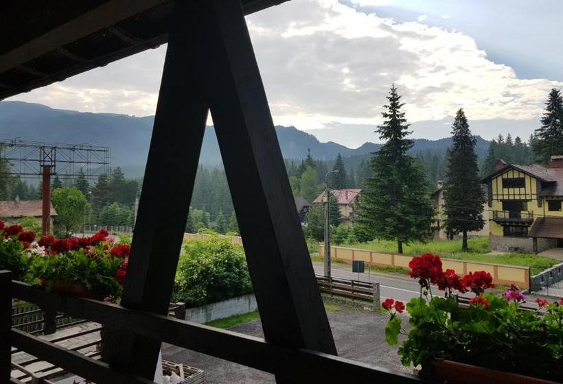 بنسيون Timis Valley, Casa Eni&dan