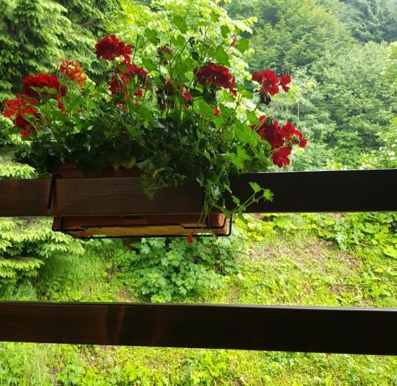 بنسيون Timis Valley, Casa Eni&dan