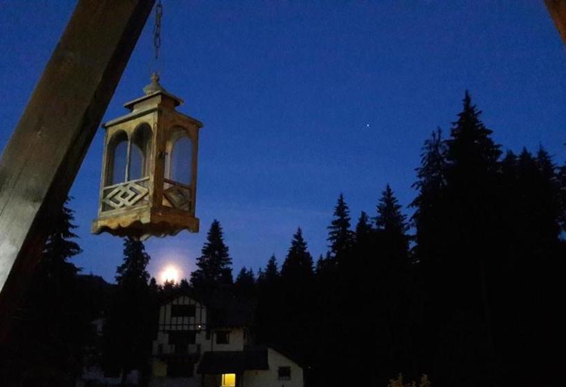 بنسيون Timis Valley, Casa Eni&dan