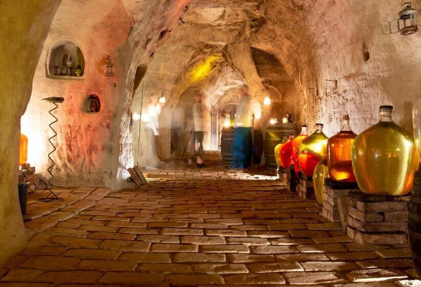 پانسیون Váš Sklep   Vinný Sklep A Penzion