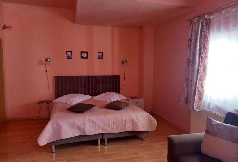 Pensiunea Vila Dana