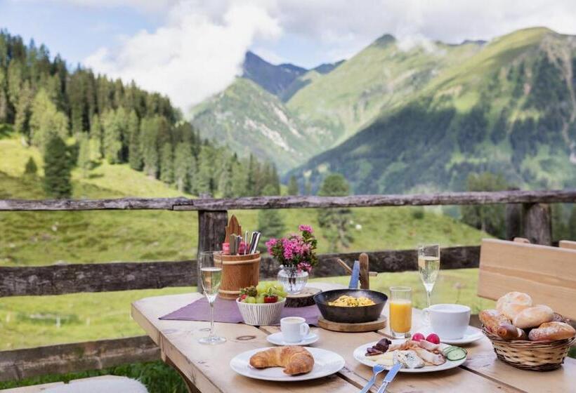 Общежитие Berggasthaus Höllensteinhütte