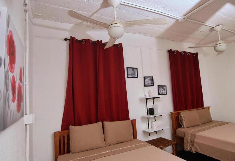 הוסטל Rainforest Haven Inn