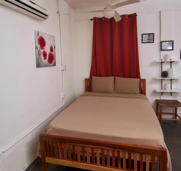 הוסטל Rainforest Haven Inn