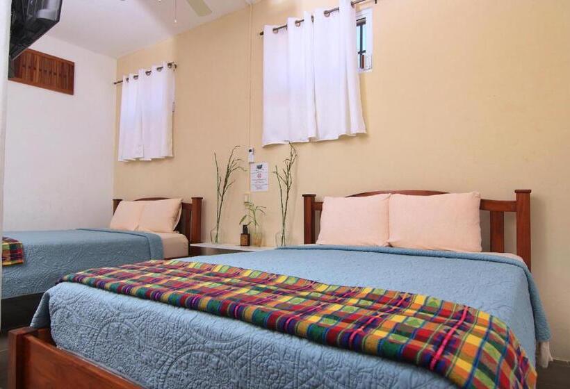 הוסטל Rainforest Haven Inn