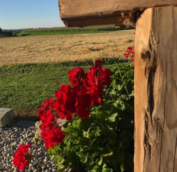 ホテル Vogelhubergut   Familie Scherleithner