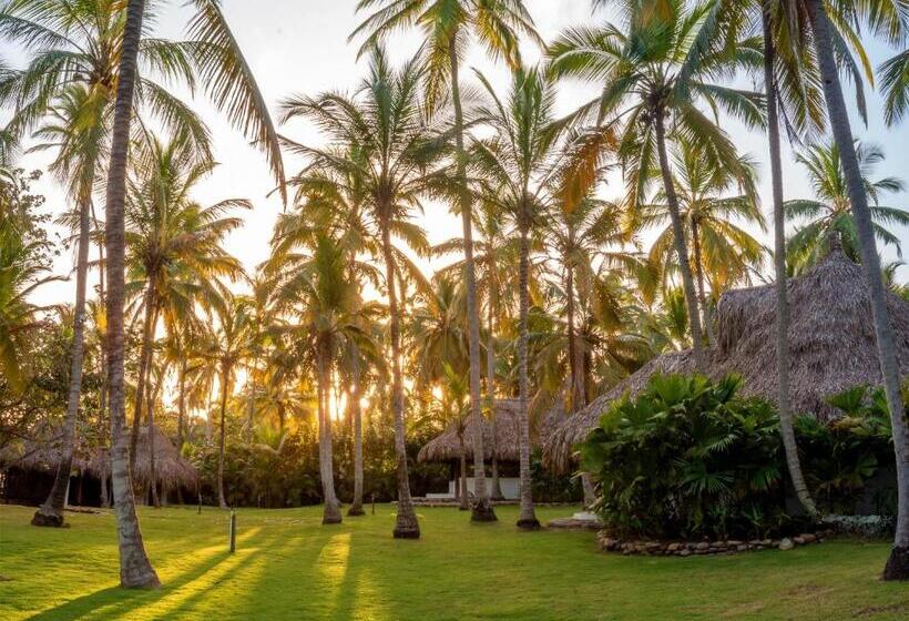 پانسیون Casalina