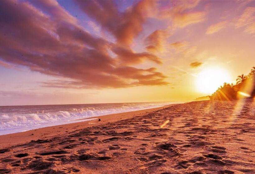 پانسیون Casalina