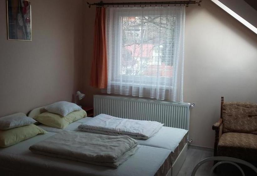 פנסיון Hejő Apartman