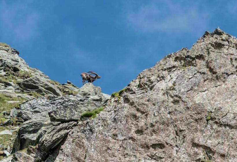 膳宿费 Landhaus Alpenrose   Feriendomizile Pichler