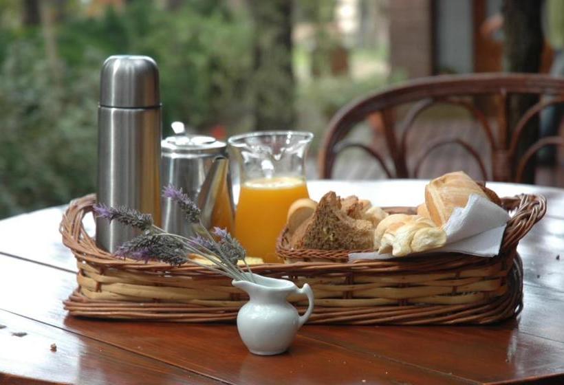 Rincón De Los Vientos