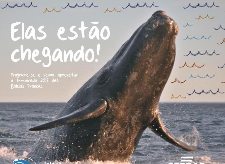 هاستل Pousada Do Véio