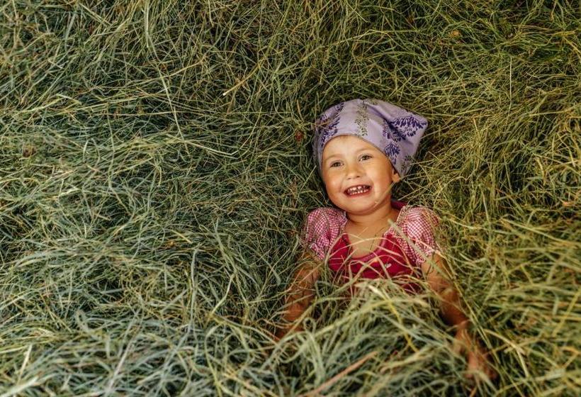 בית מלון כפרי Linharterhof