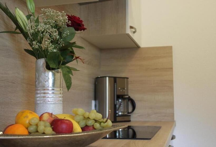 膳宿费 Birkenheim Widmann