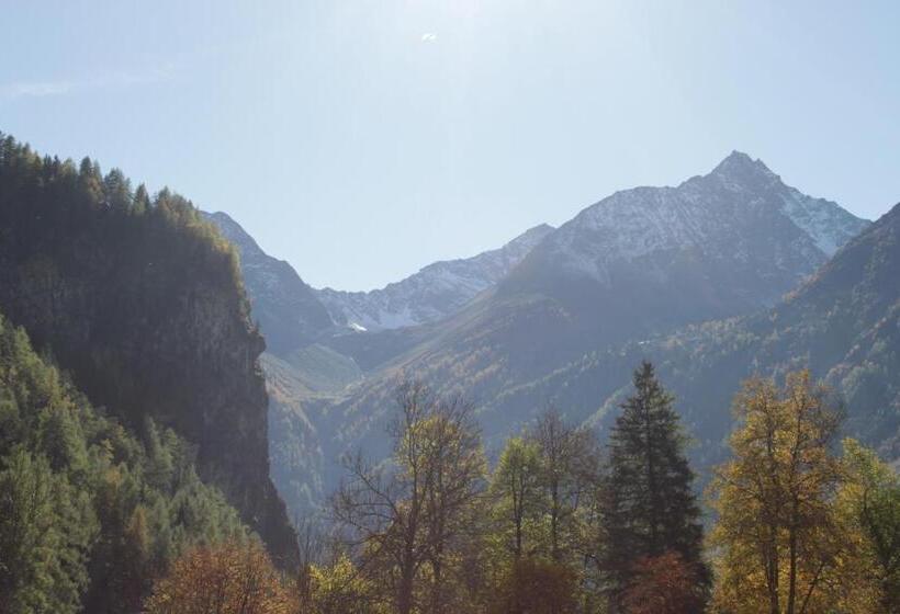 膳宿费 Birkenheim Widmann