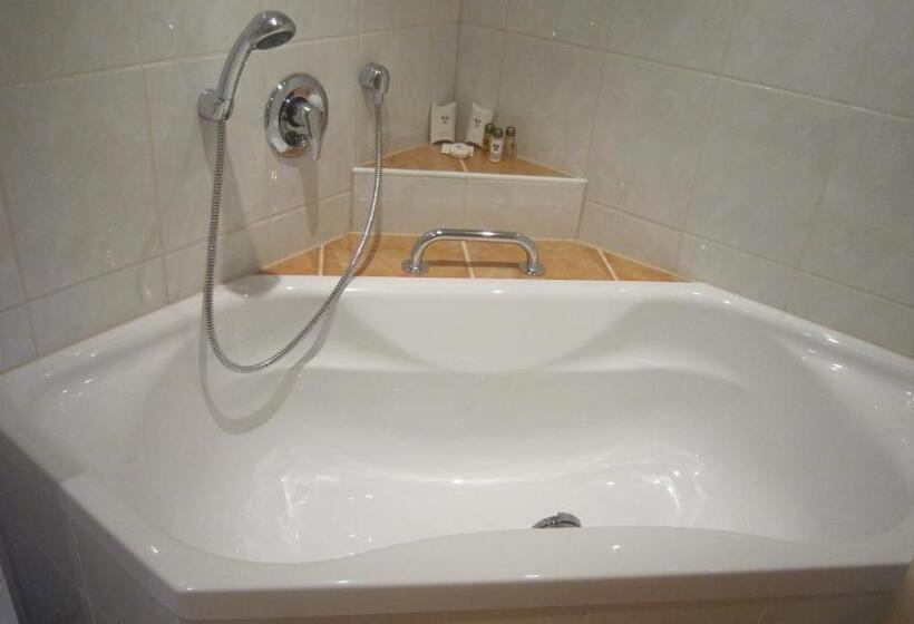 膳宿费 Birkenheim Widmann