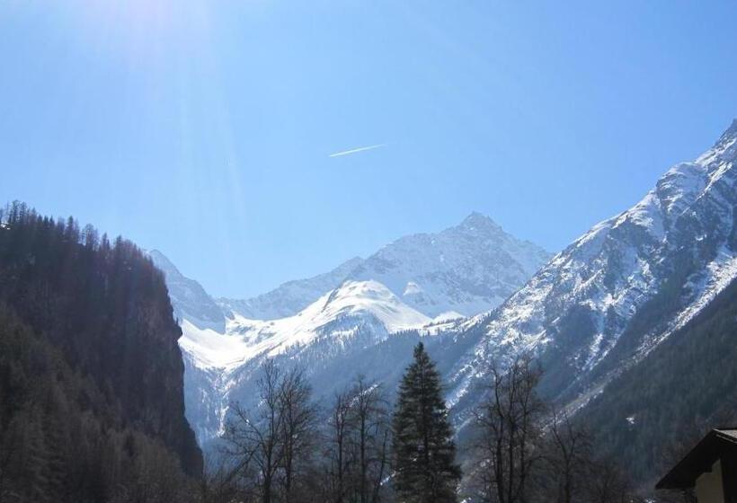 膳宿费 Birkenheim Widmann