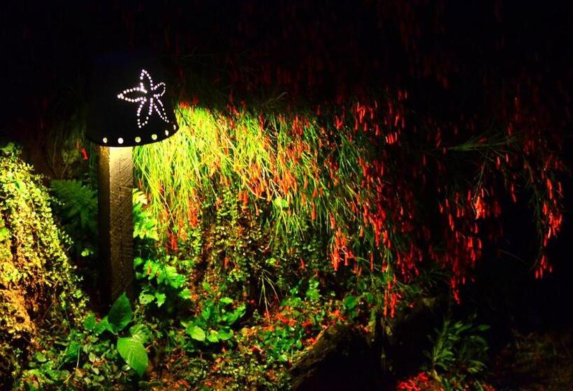 ペンション Cafezal Em Flor Turismo E Cafés Especiais