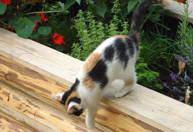 Pension Greimelbacherhof