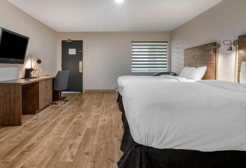 فندق صغير Dannys Hotel Suites; Surestay Collection By Best Western
