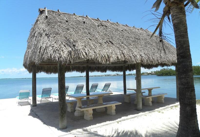 호스텔 Rock Reef Resort