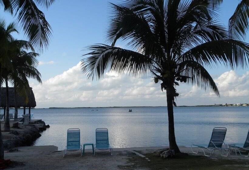 호스텔 Rock Reef Resort