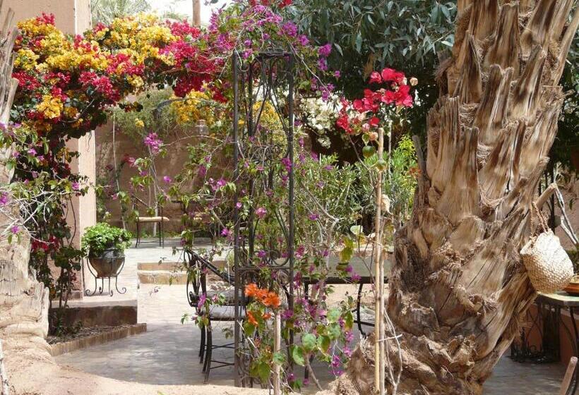 تختخواب و صبحانه Dar Nakhla   Zagora Guest House