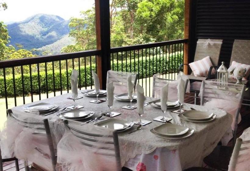 Mapleton Falls Accommodation
