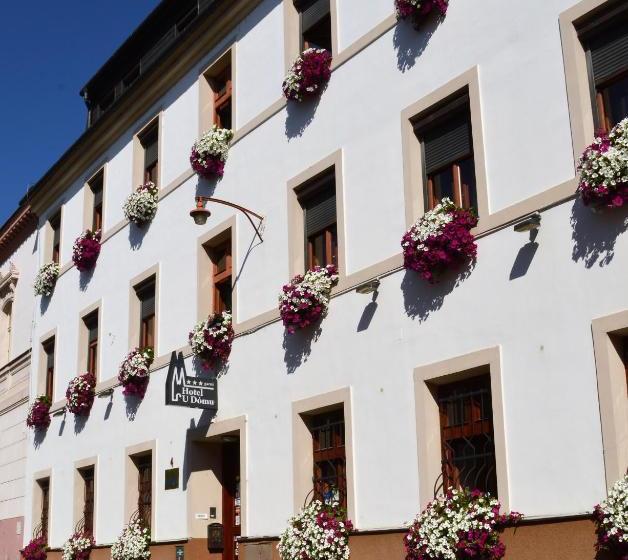 پانسیون U Dómu Sv. Václava