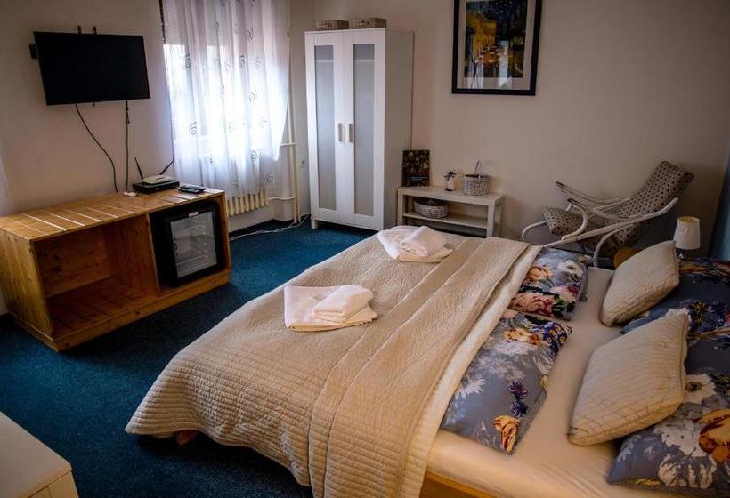 پانسیون U Dómu Sv. Václava