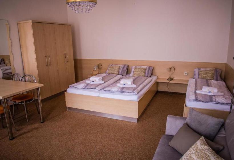 پانسیون U Dómu Sv. Václava