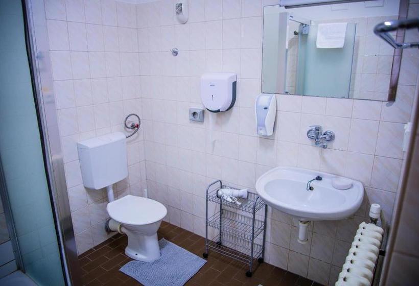 پانسیون U Dómu Sv. Václava