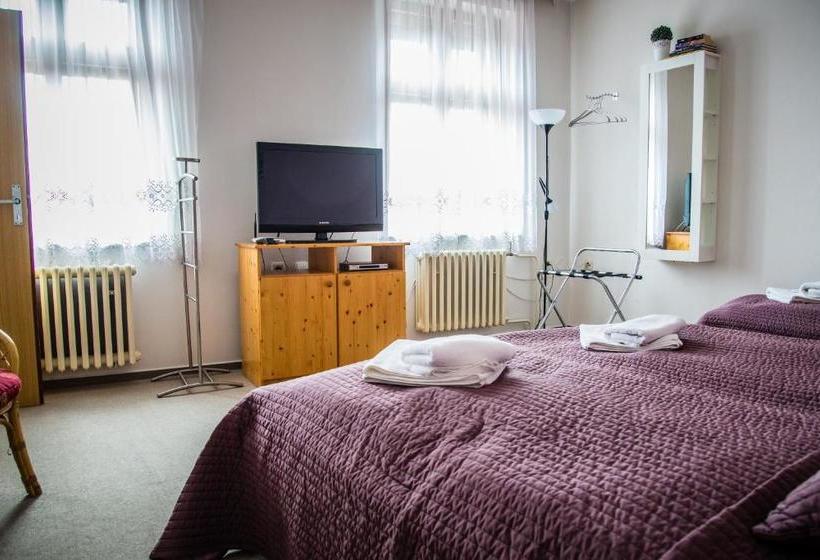 پانسیون U Dómu Sv. Václava