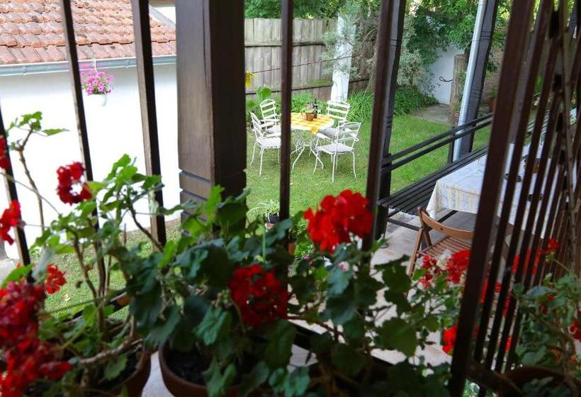 پانسیون Villa Ricz