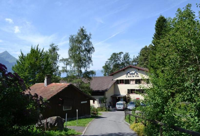 Hostel C'est La Vie