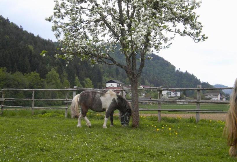 پانسیون Die Sonnenblume