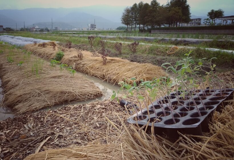 تختخواب و صبحانه Wo Club Hall