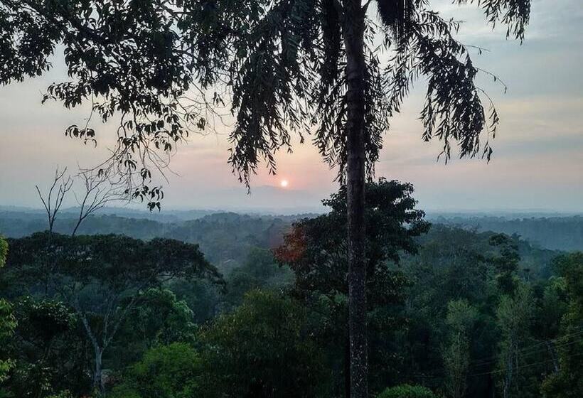 客栈  Forestdale Coorg